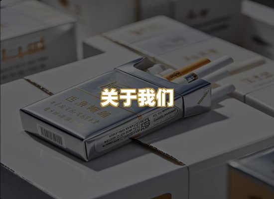 关于我们